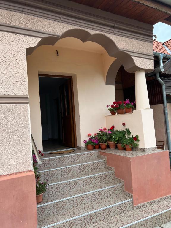 Exteriér nebo vchod ubytování CASA ANDREI
