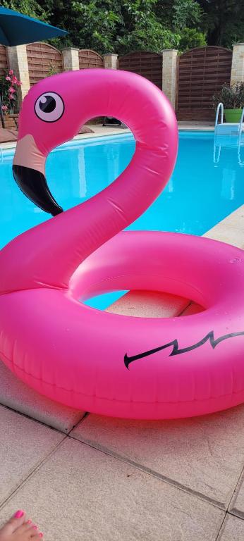 Un tubo rosa al lado de una piscina. en La Clé des champs, Le Domaine de Brugal, en Carsac-Aillac