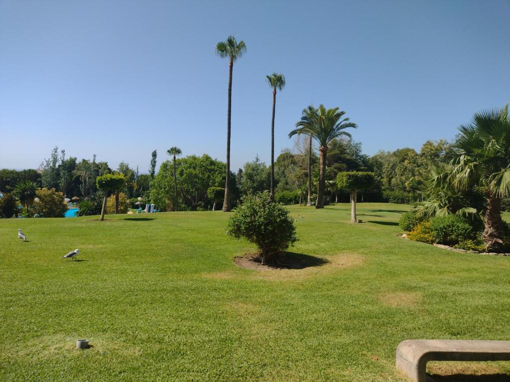 Ogród w obiekcie Estudio Minerva 429, Costa del Sol