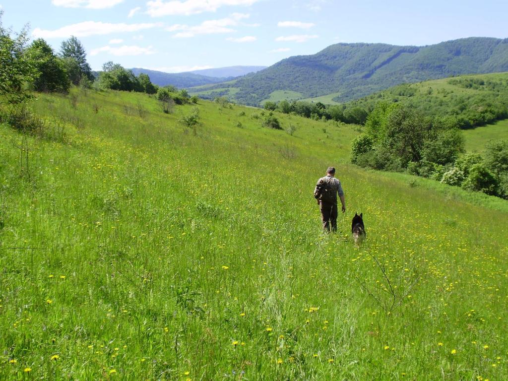 Příroda nedaleko penzionu – hostince