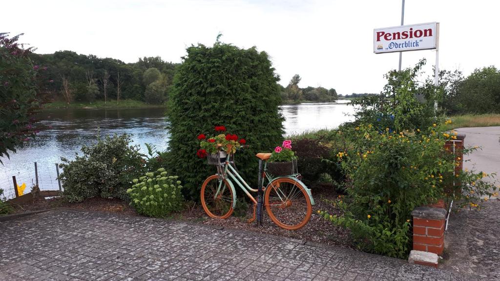 un vélo fleuri est garé à côté d'une rivière dans l'établissement Dachstübchen an der Oder, 