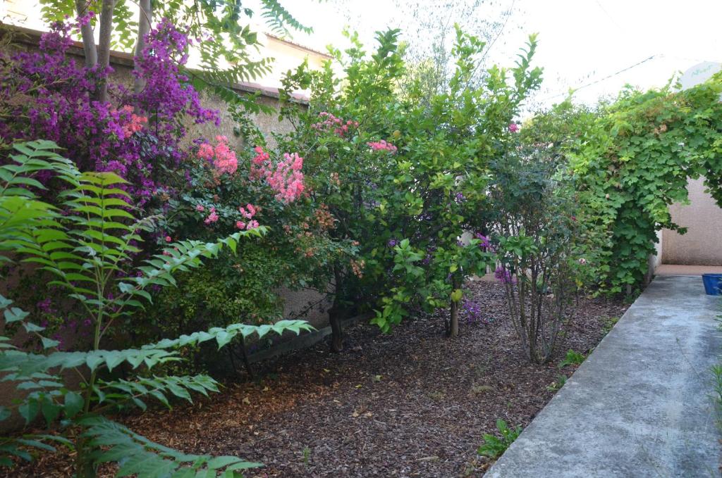 a garden with pink flowers and plants and a sidewalk at LES OISEAUX in Saint-Cyr-sur-Mer