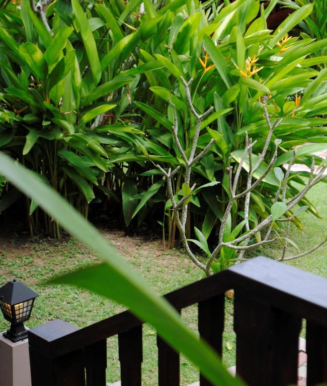 Baan Sawan Samui Resort - 16