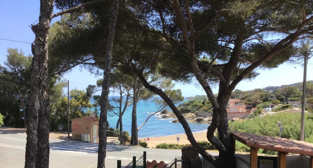 Φυσικό τοπίο κοντά σε αυτό το διαμέρισμα