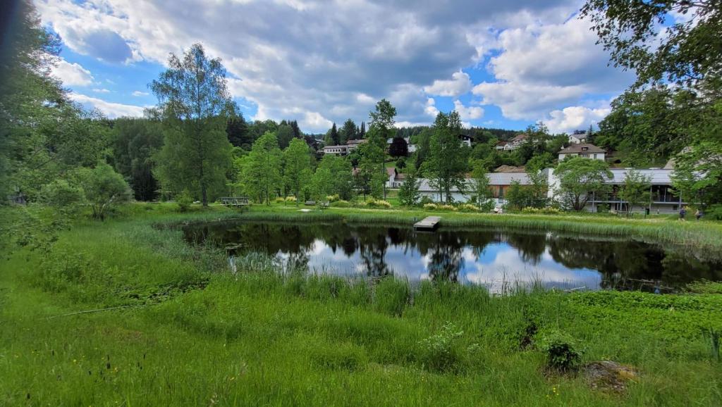 einem Teich inmitten eines Feldes mit Bäumen in der Unterkunft Ferienwohnung Grenzenblick in Bayerisch Eisenstein