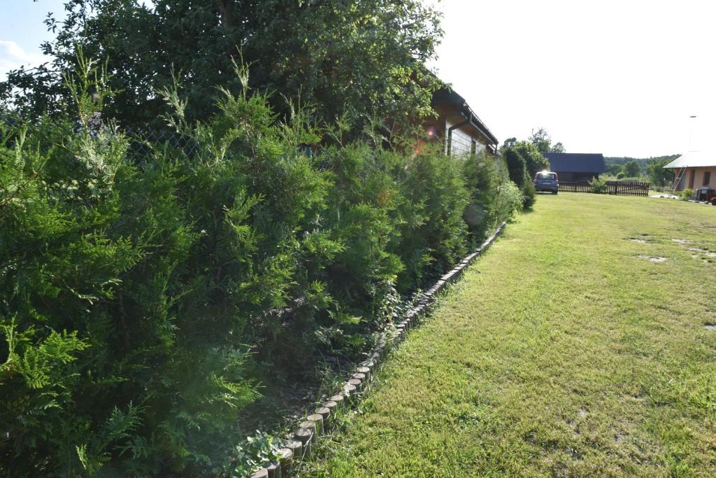 Fotografia z galérie ubytovania Stokrotka v destinácii Białowieża