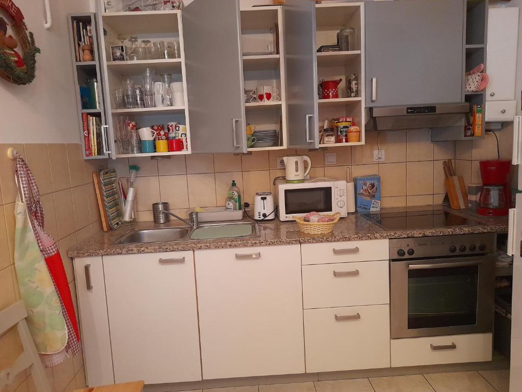 Kuchyň nebo kuchyňský kout v ubytování Family Apartman