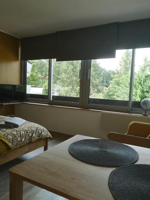 Le Petit Astro parking privé – photo 2