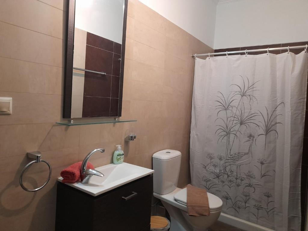 a bathroom with a sink and a shower curtain at Apricus Apartments in Apolpaina