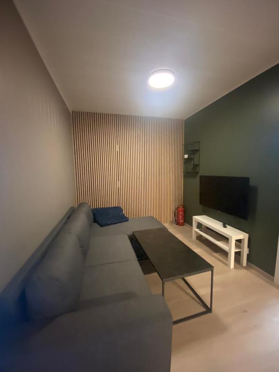 Vikavegen Stryn في سترين: غرفة معيشة مع أريكة وتلفزيون