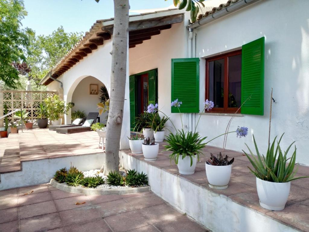 a house with green shuttered windows and potted plants at Casa Tritons in Port d'Alcudia