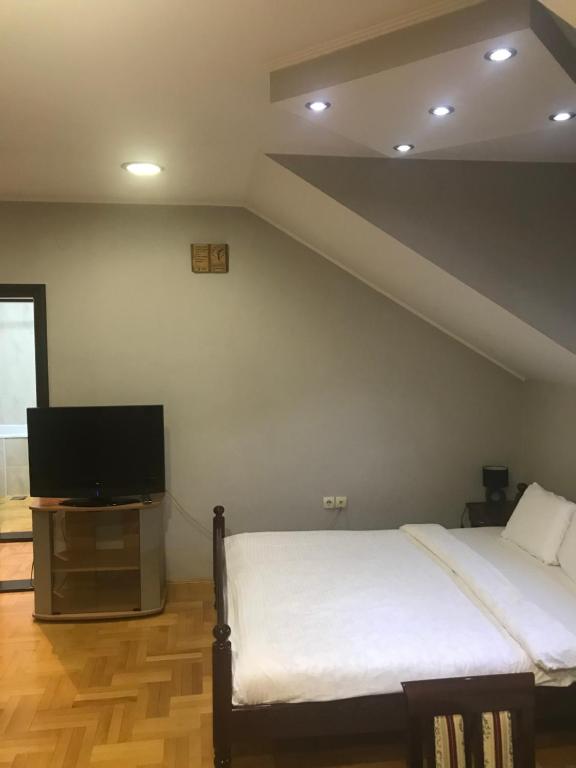 TV a/nebo společenská místnost v ubytování Kaplarević Smeštaj Ivanjica