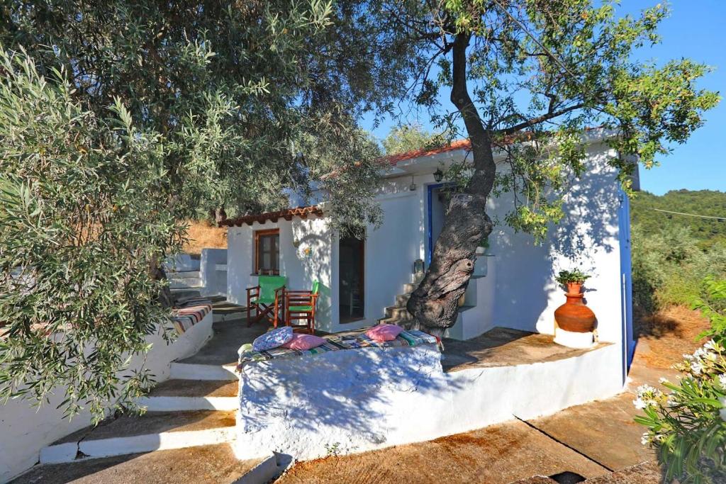 a small white house with a tree in front of it at Skopelos Mortero Cottage in Panormos Skopelos