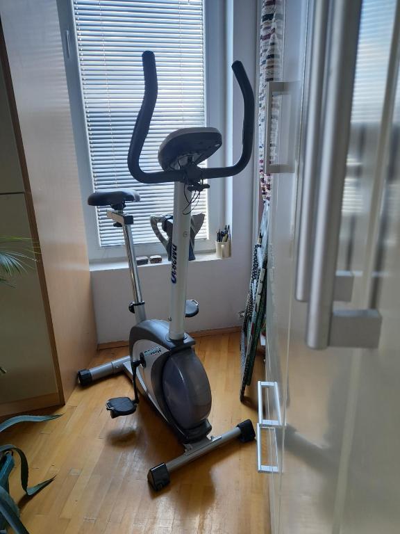 Fitness centrum a/nebo fitness zařízení v ubytování Family Apartman