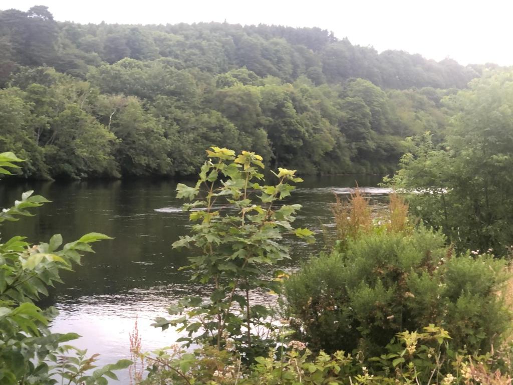 rzeka w środku lasu w obiekcie River Ness View w mieście Inverness