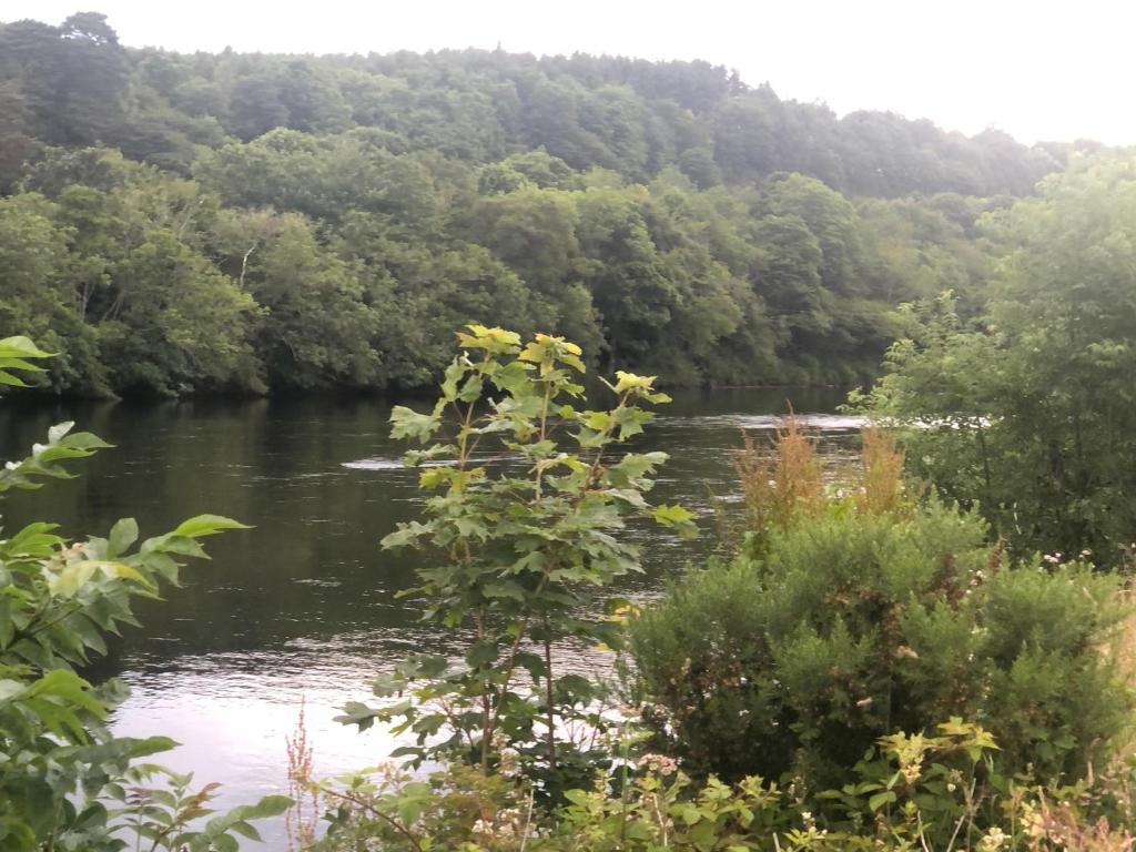 ein Fluss mitten im Wald in der Unterkunft River Ness View in Inverness