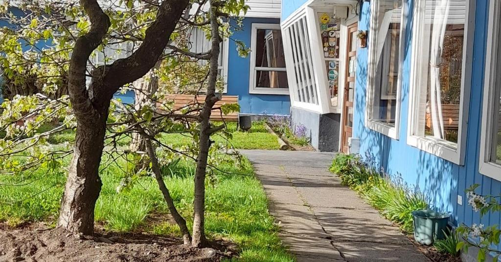 a blue house with a tree next to a sidewalk at Hostal Los Pinos in Puerto Natales