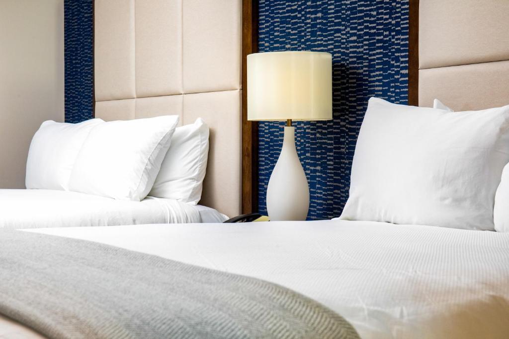 Haywood Park Hotel, an Ascend Collection Hotel - 标准大号床间 - 带两张大号床 - 禁烟