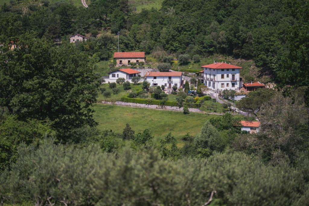 un grupo de casas en una colina con árboles en Agriturismo La Valle degli Ulivi, en Trecchina