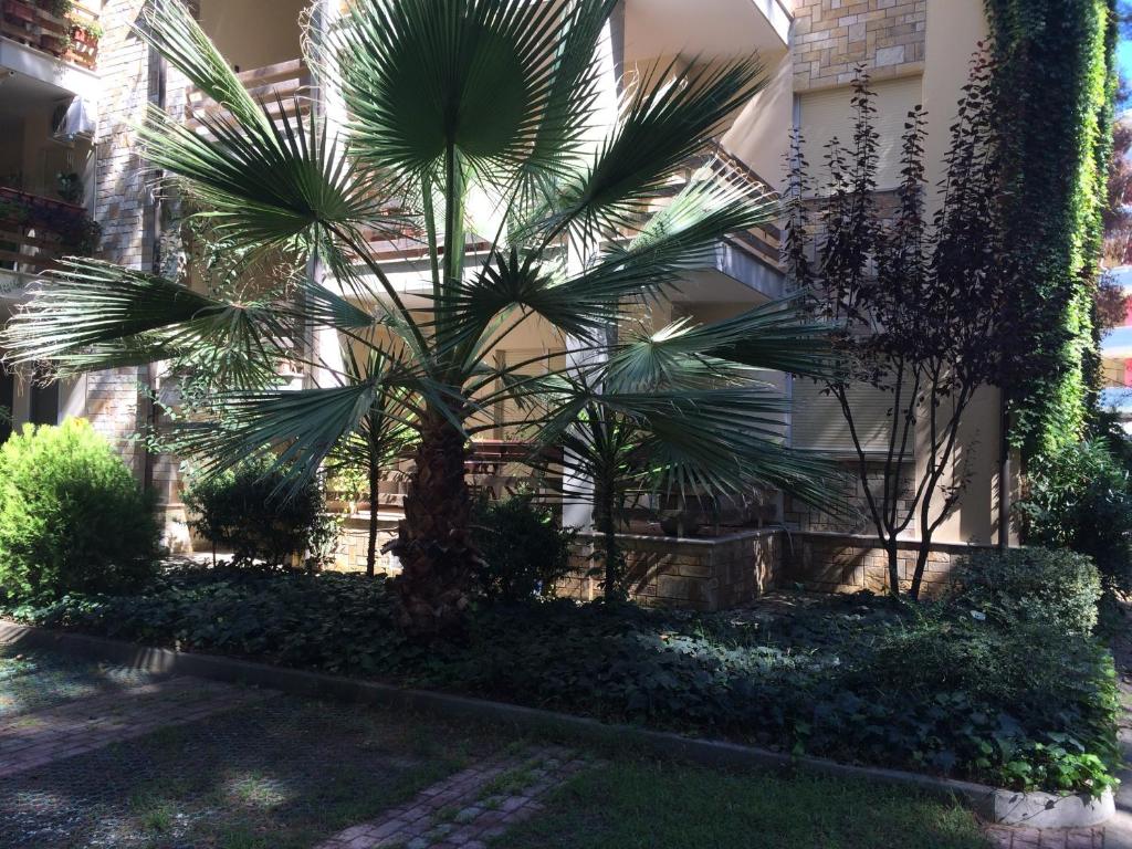 Apartment Eurocoli Rezidence - Imazhi 6
