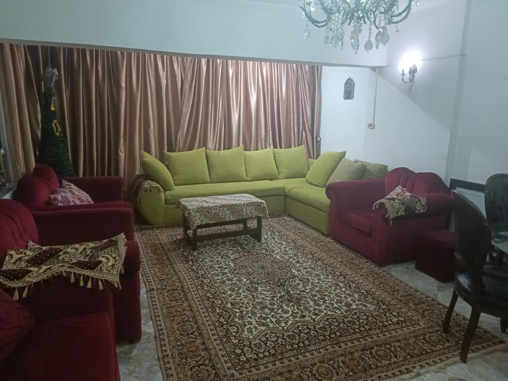 Apartment for rent in Nasr city, Cairo, Cairo (updated prices 2024)