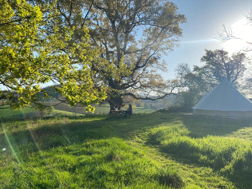 Příroda nedaleko luxury tent