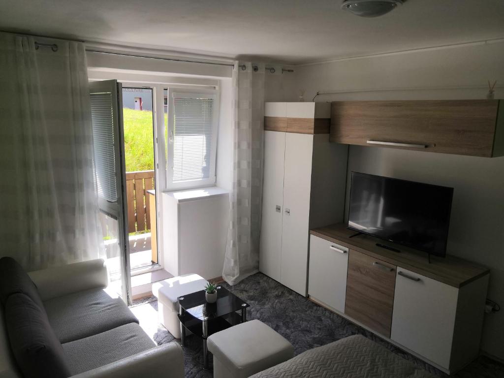een woonkamer met een bank en een flatscreen-tv bij Apartmán Nikolka in Lipno nad Vltavou