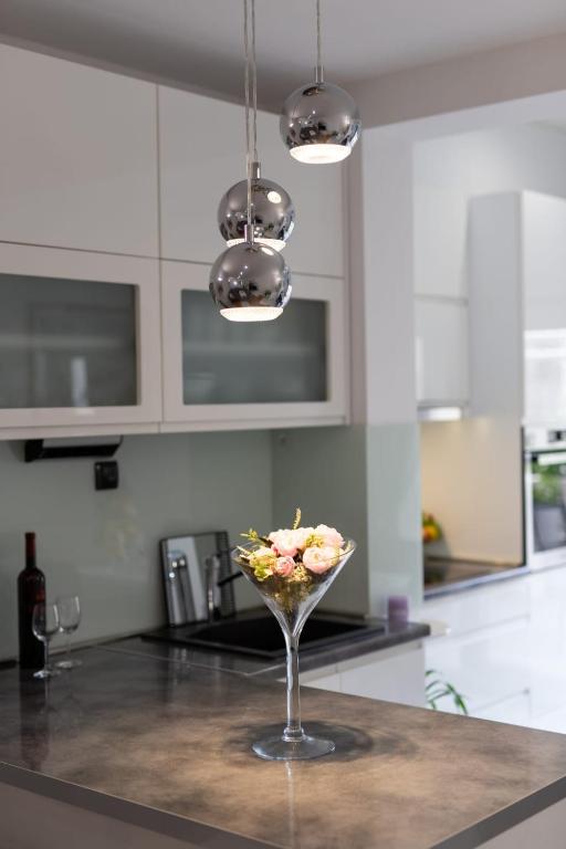 Kuchyňa alebo kuchynka v ubytovaní Lux apartment Ema