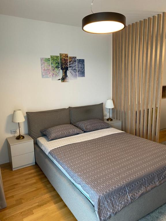 Csm Apartments - Housity