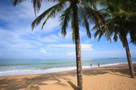 two palm trees on a beach with the ocean at Cozy suite at coco Beach , not pets in Rio Grande