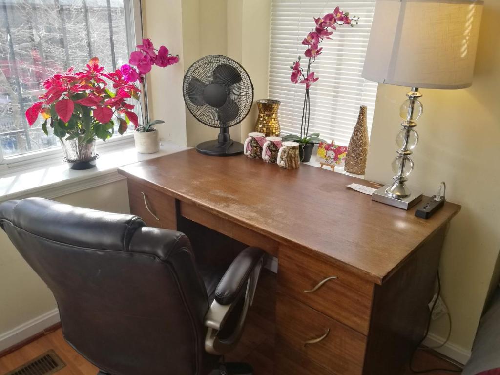 Most Economical Room in Center Washington DC photo