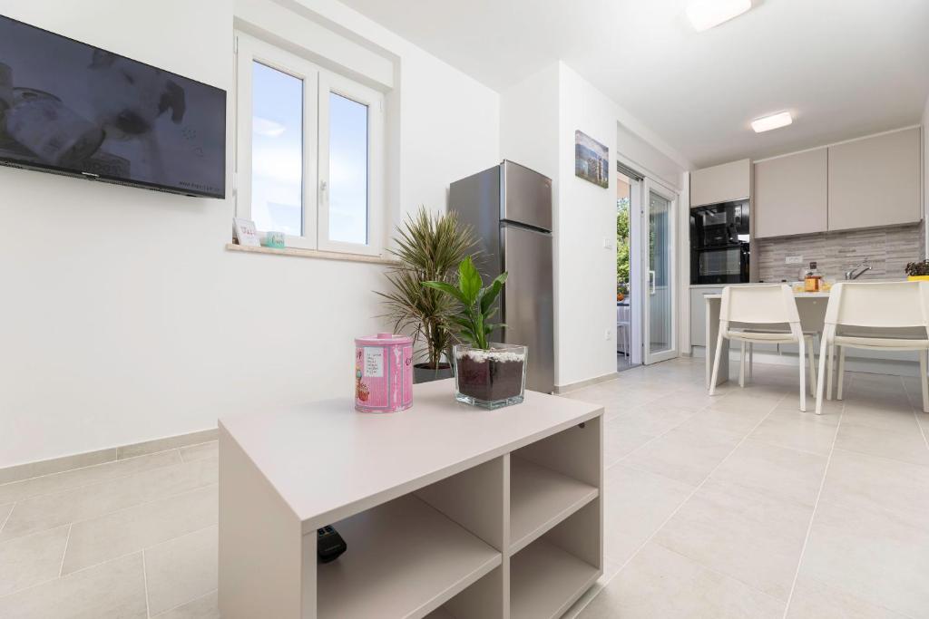Кухня или мини-кухня в Apartments Sucic 2
