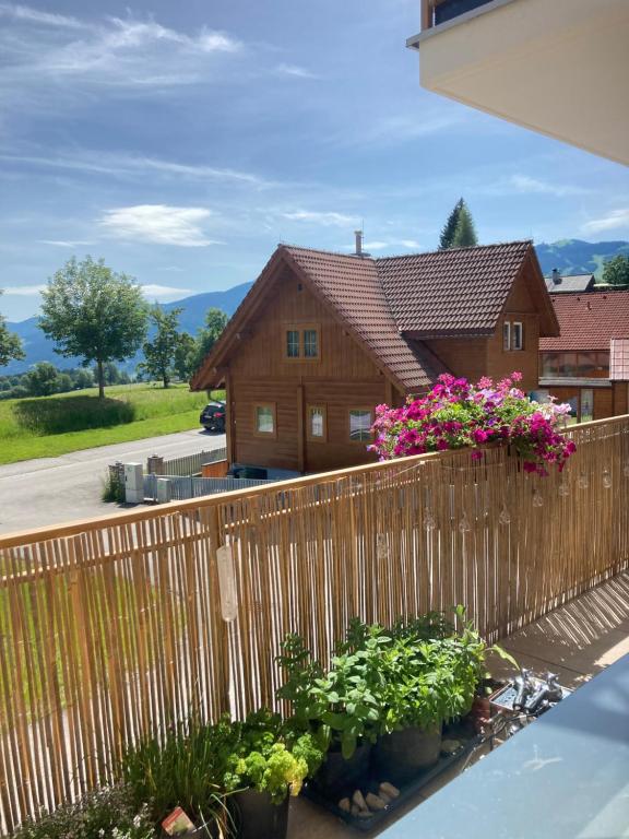 Príroda v okolí apartmánu