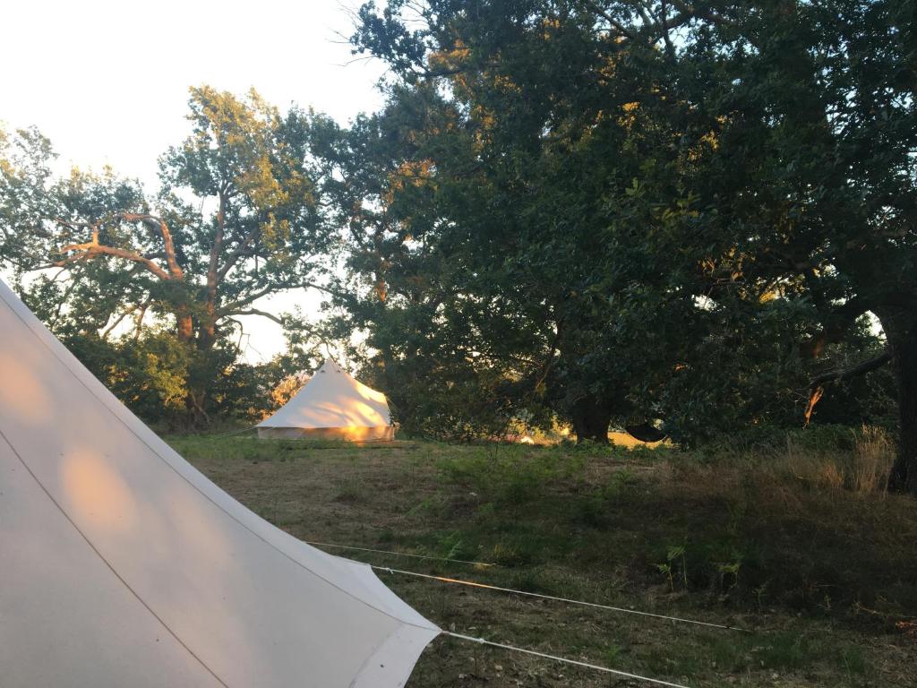 Příroda nedaleko luxury tent