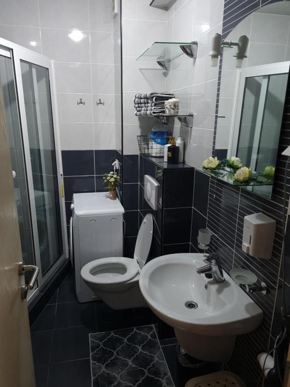 a bathroom with a toilet and a sink at Apartman Centar Lux in Budva