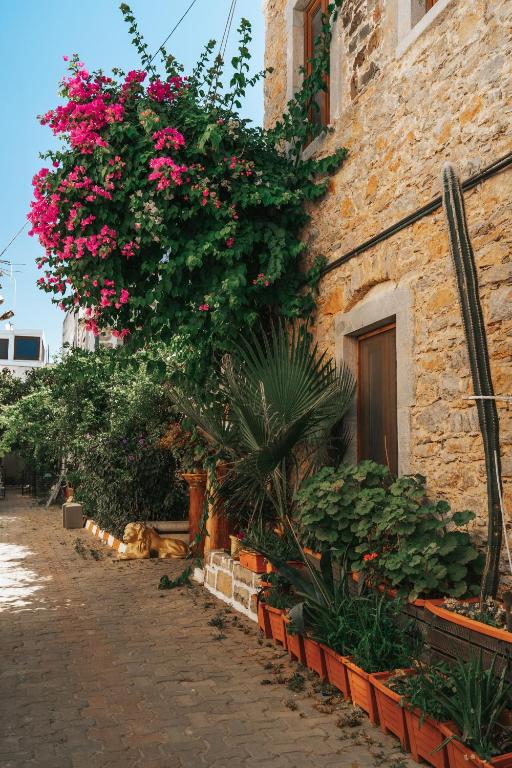 a building with pink flowers on the side of it at Akkan Hotel in Bodrum City