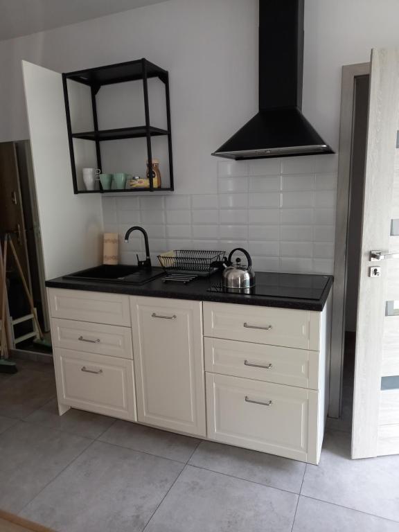 Kuchyňa alebo kuchynka v ubytovaní Apartament przy Obozie