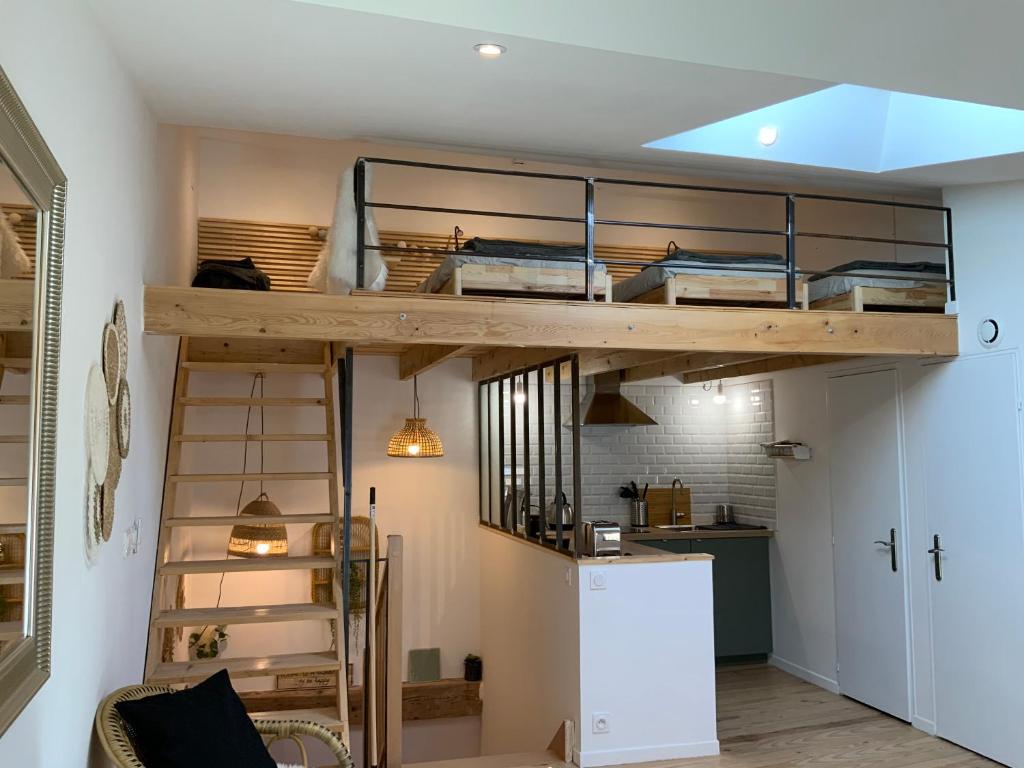 a loft bed with a ladder in a room at O'BERCAIL in Tournon-sur-Rhône