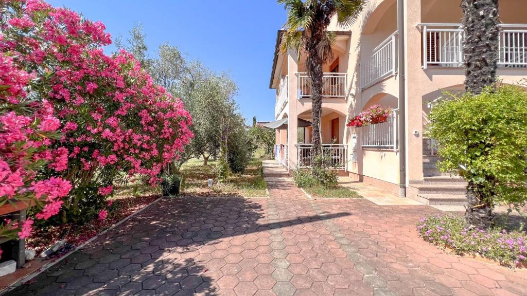 a brick walkway in front of a building with pink flowers at Viola Three in Novigrad Istria