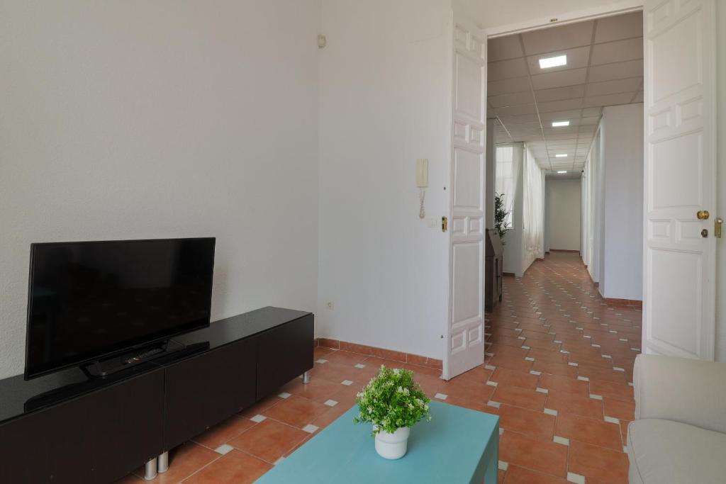 Televízia a/alebo spoločenská miestnosť v ubytovaní C67 - Shiny 6 Bedrooms in Plaza de la Merced