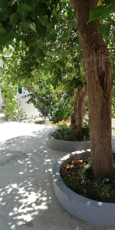 Ogród w obiekcie Kuća za odmor MANA