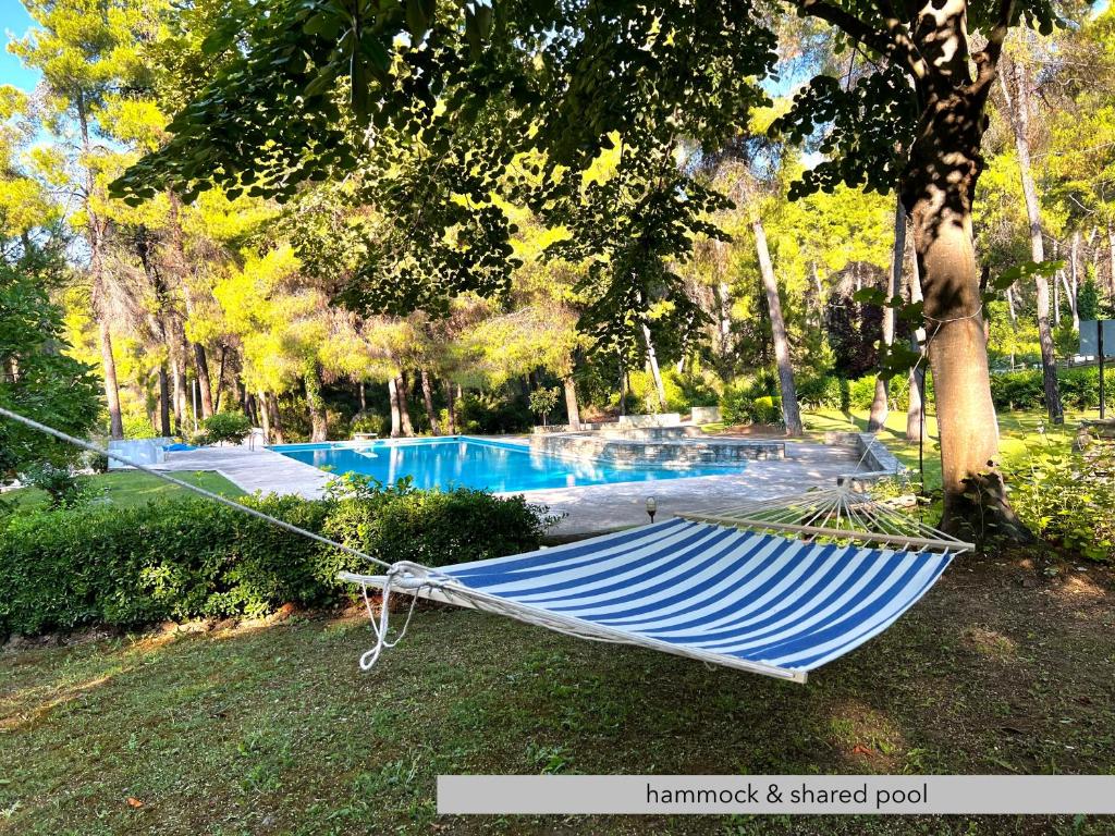 a hammock hanging from a tree next to a swimming pool at #Villa Niovi by halu! Sani Villas in Sani Beach