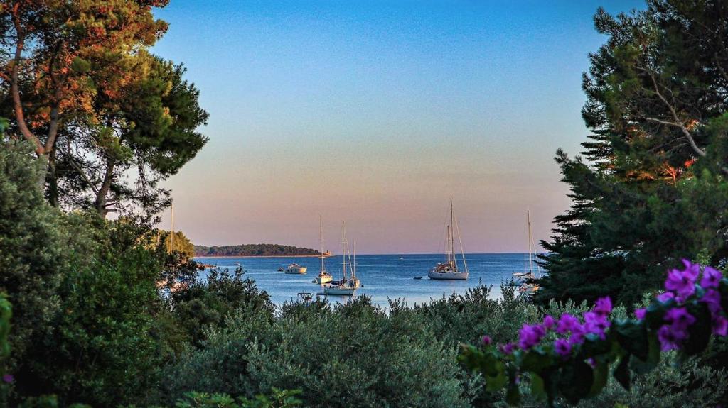 Rustic Holiday Home - Artatore - Apartamento Con Terraza