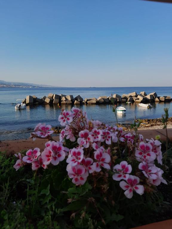 La casa di Ale - Casa De Vacaciones