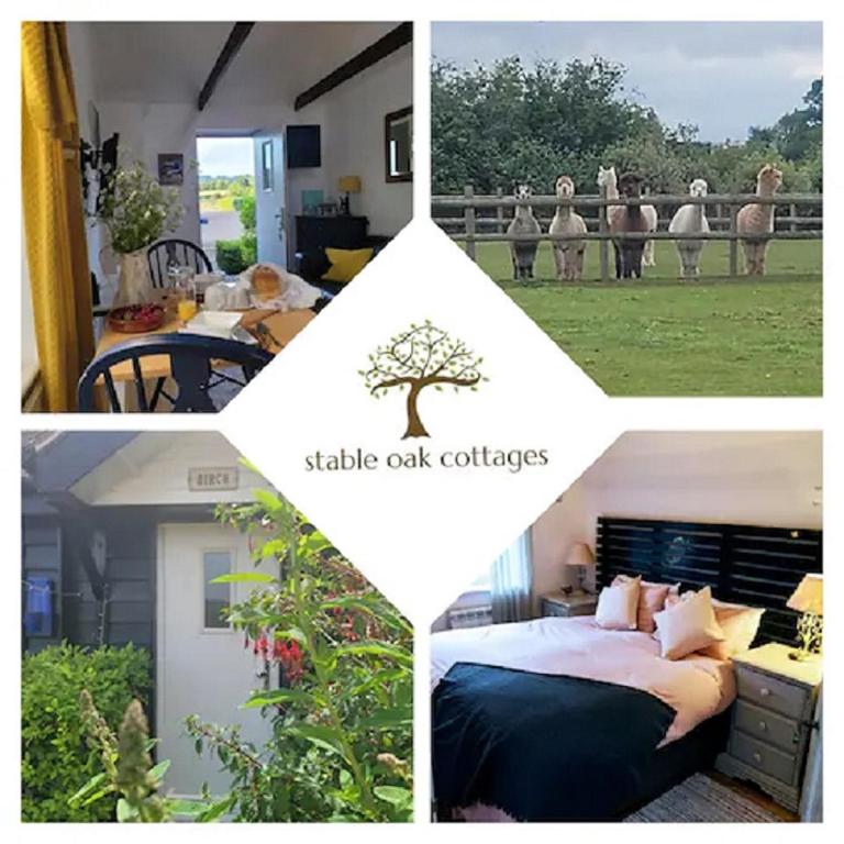 Idyllic cottage with private wood fire hot tub - Housity