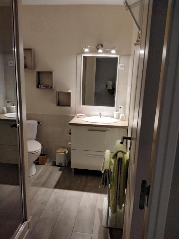 uma casa de banho com um lavatório, um WC e um espelho. em Les chambres d'hôtes du port de loguivy de la mer em Ploubazlanec
