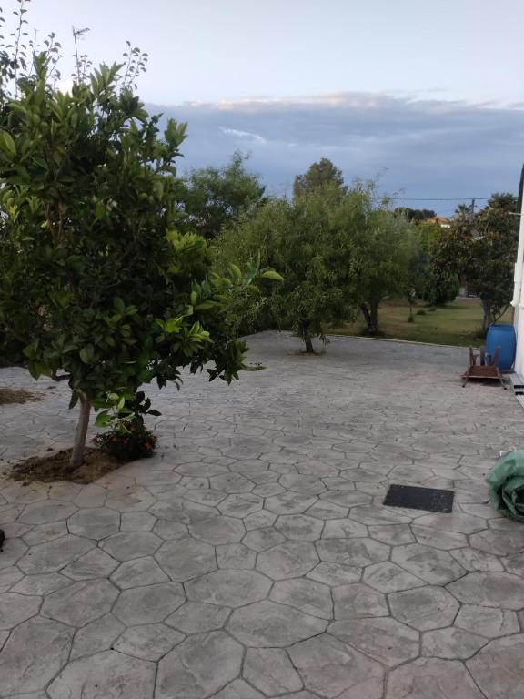 Príroda v okolí apartmánu