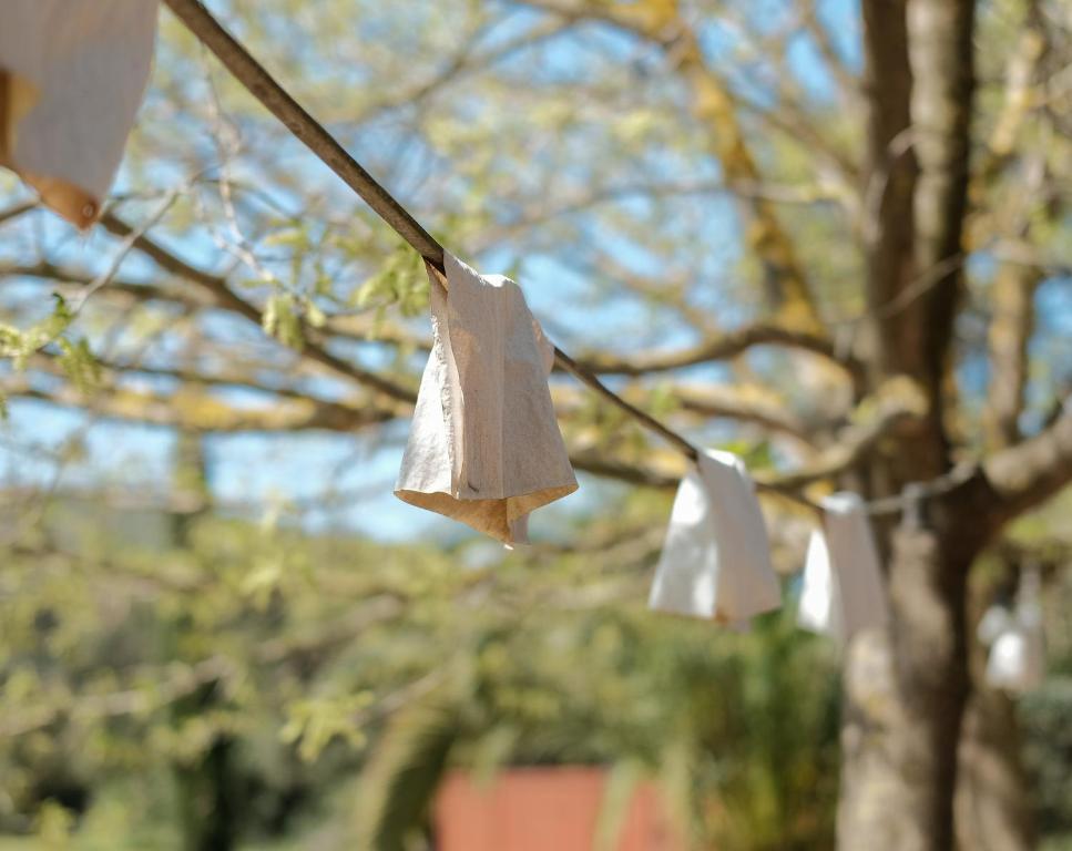 Fotografie z fotogalerie ubytování Hotel Fundació L'Olivar v destinaci Ventalló