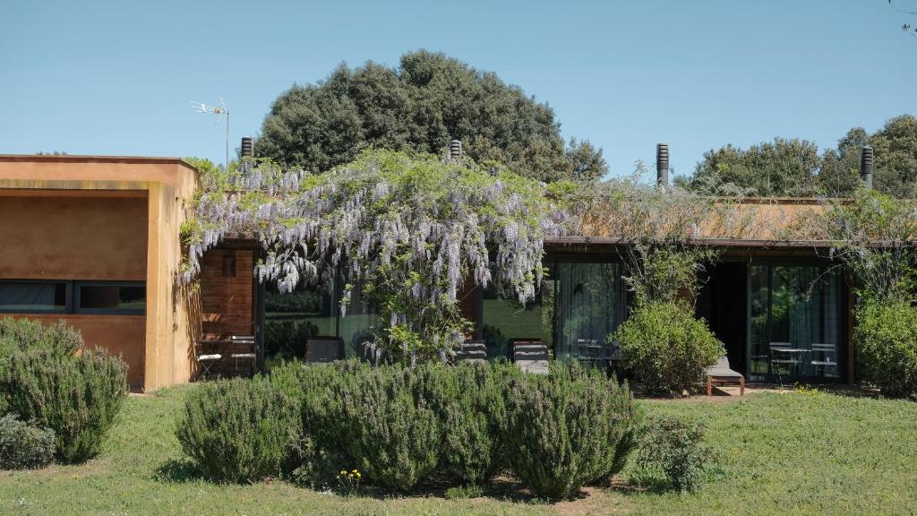 Zahrada ubytování Hotel Fundació L'Olivar