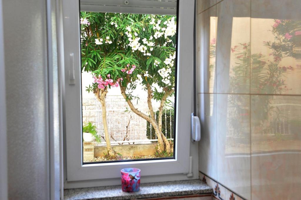 Vonkajšia záhrada v ubytovaní Apartment Botanic
